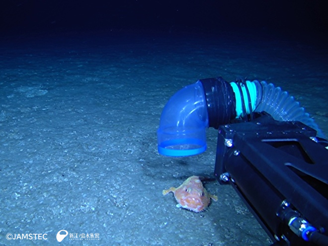 クラムボンから見たスラープガンでの生物採集
