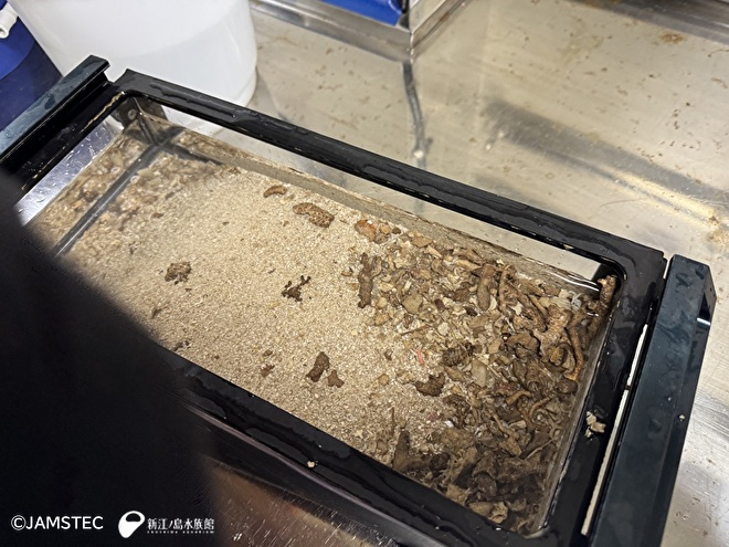 堆積物を採集したキャニスター