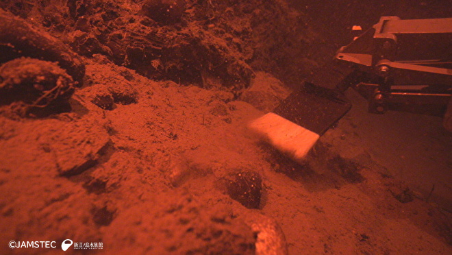 ハケを持つ「KM-ROV」