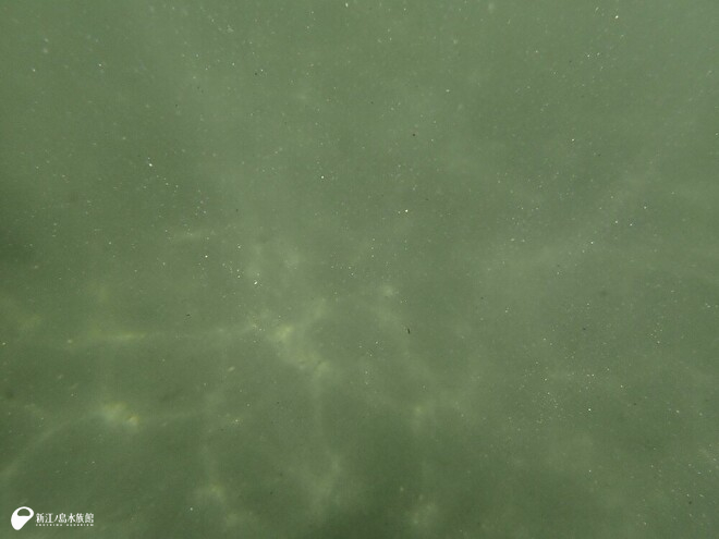 濁って何も見えない水中のようす