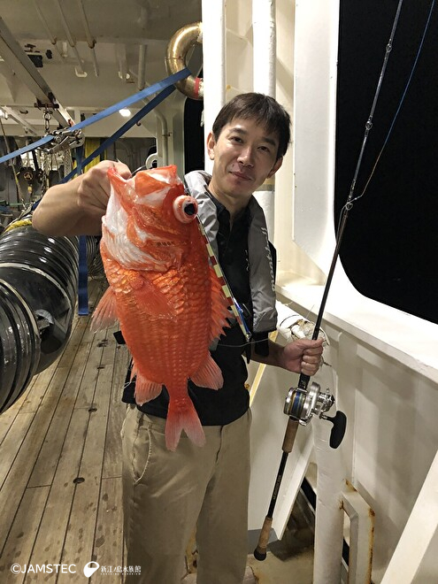 エビスダイ