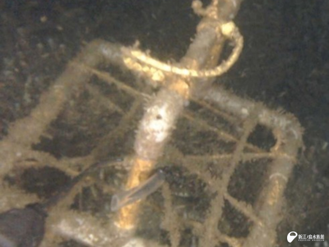 水中でフックをかけたところ 