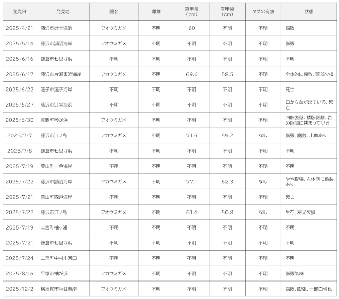 2025年ストランディング記録