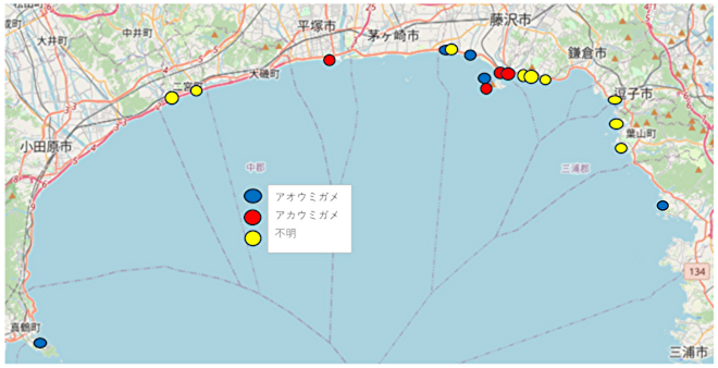 2025年ストランディングポイント