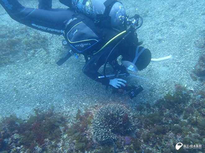 ウツボを撮影する藤田トリーター