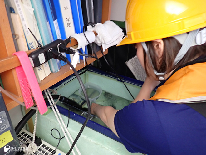 水槽へ搬入