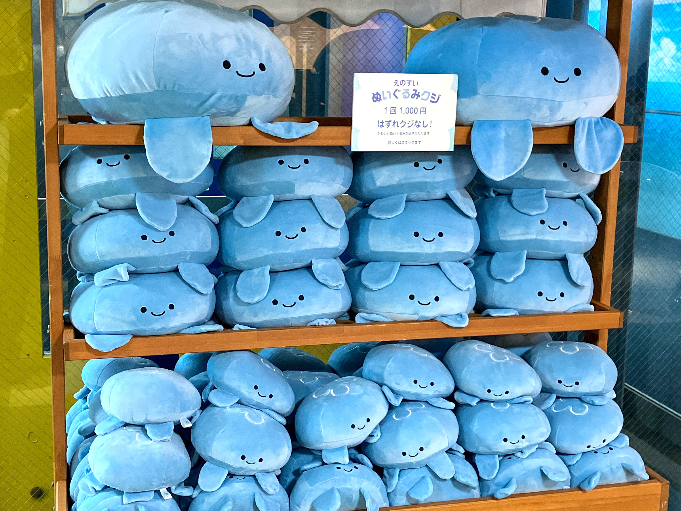 ぬいぐるみクジ クラゲ