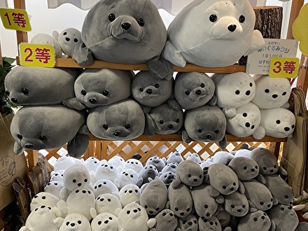 ぬいぐるみクジ アザラシ