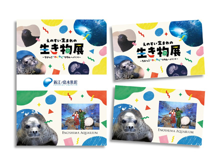 フォトカード プレゼント!