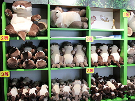 ぬいぐるみクジ へそてんっ！カワウソ