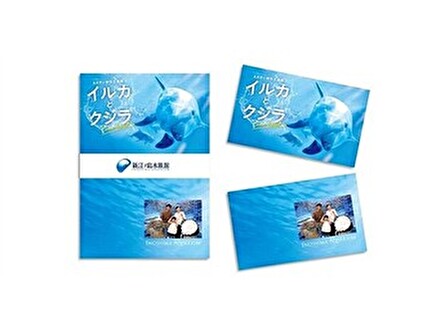 えのすい特別企画展 「イルカとクジラ Coool Dolphin」フォトカード プレゼント！