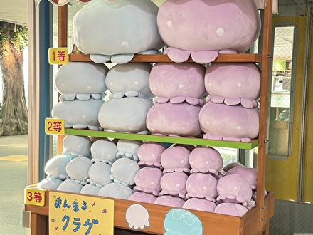 ぬいぐるみくじ まんまるクラゲ