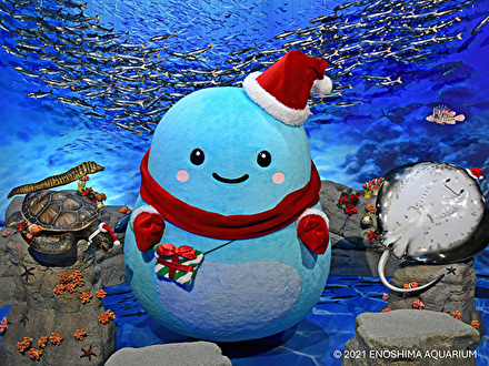 あわたん撮影会