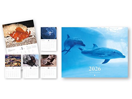 2026年 えのすい壁掛けカレンダー