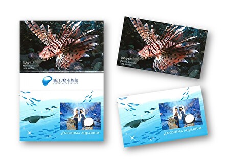 「あわたん5周年 おめでとう！」フォトカード プレゼント！