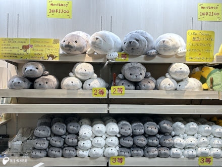 パチッと まったり アザラシくじ