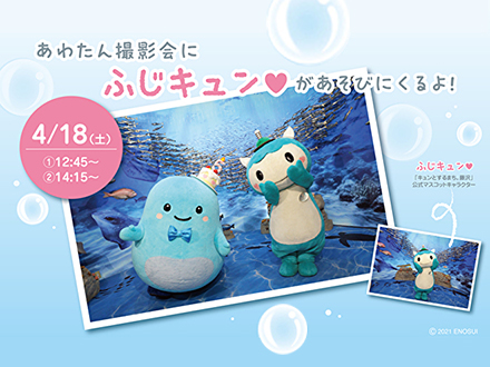 “ふじキュン♡”  “あわたん” 撮影会