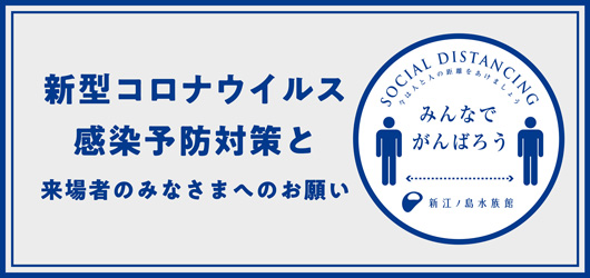 新江ノ島水族館