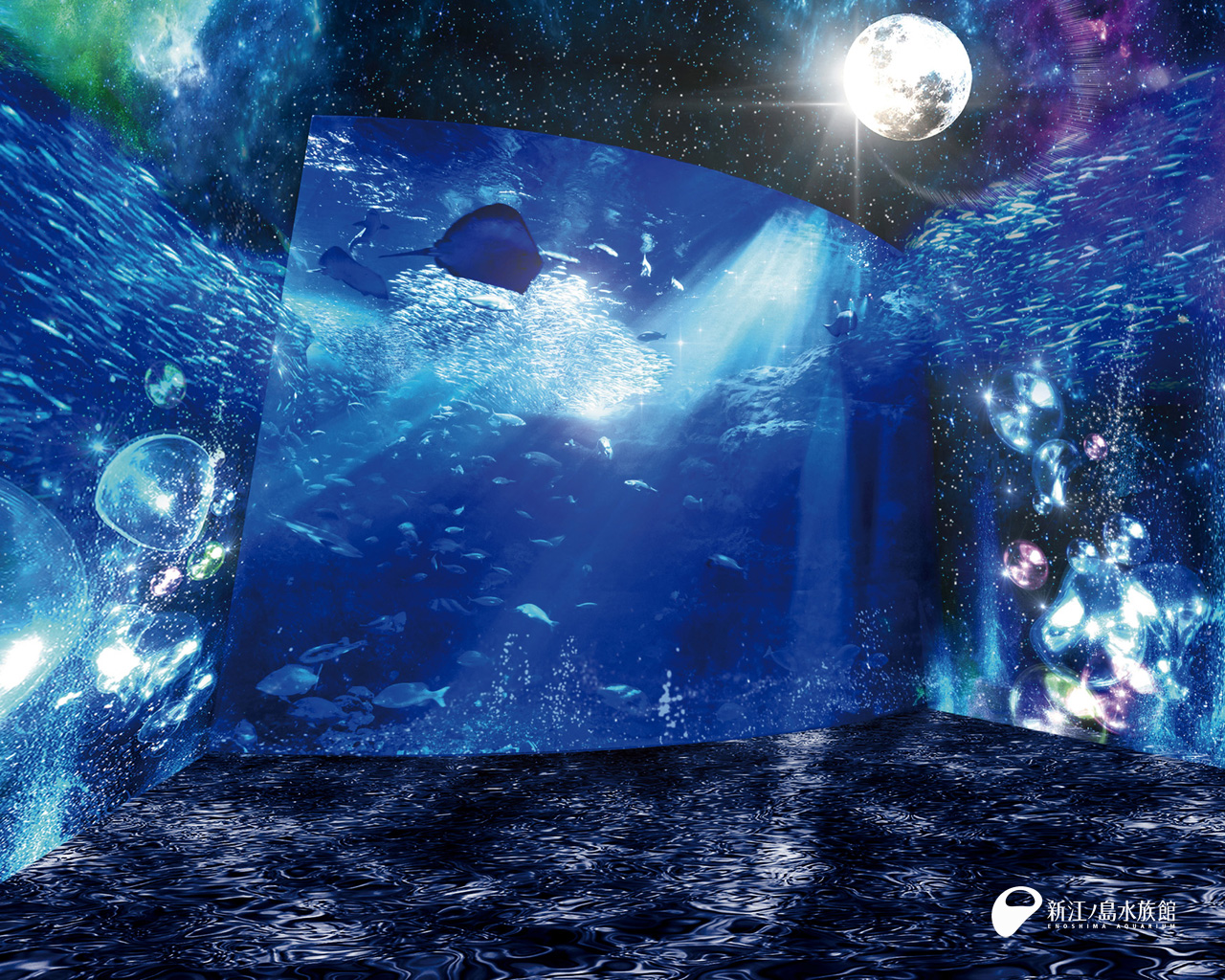 えのすい壁紙ギャラリー 新江ノ島水族館