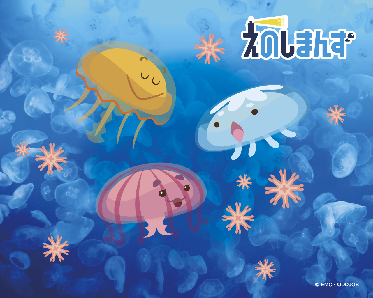 アニメ画像について トップ100クラゲ 壁紙 Pc アニメ画像について トップ100クラゲ 壁紙 Pc