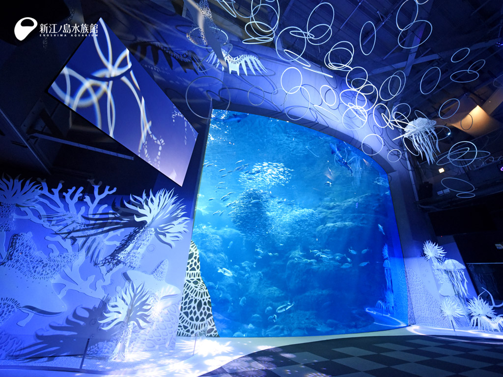 えのすい壁紙ギャラリー 新江ノ島水族館