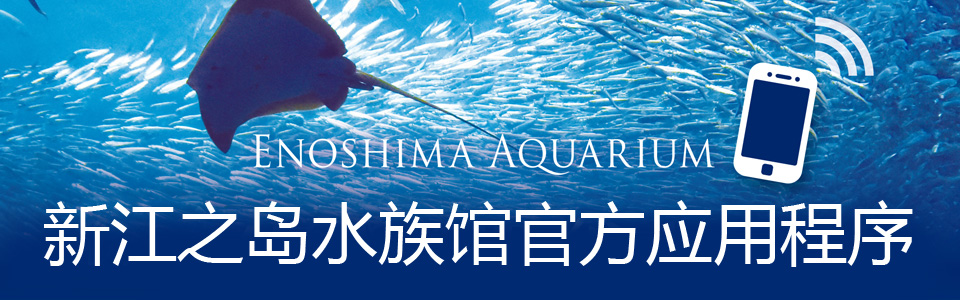 新江之岛水族馆官方应用程序