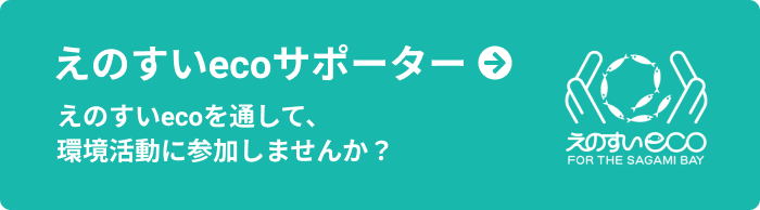 えのすいecoサポーター：えのすいecoを通して、環境活動に参加しませんか？