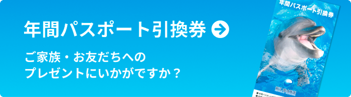 年間パスポート引換券