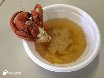 えのすいeco トピックス 新江ノ島水族館 えのすいeco トピックス 新江ノ島水族館
