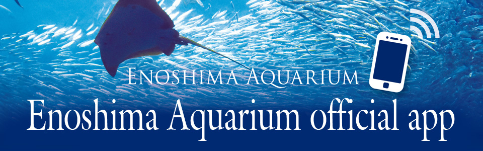 Enoshima Aquarium official app