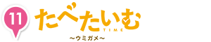 timeturtle