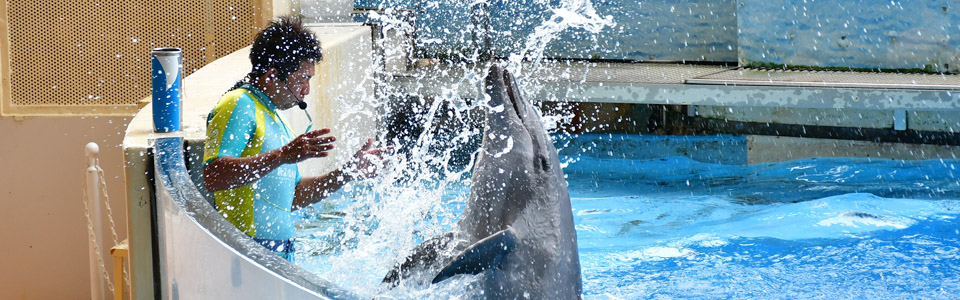 Enoshima Aquarium