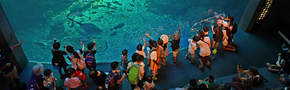 Enoshima Aquarium