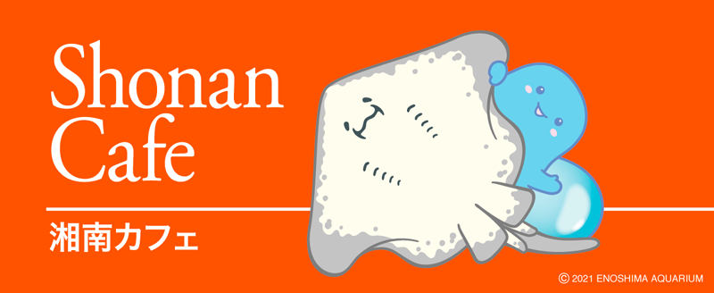 ショップ 新江ノ島水族館