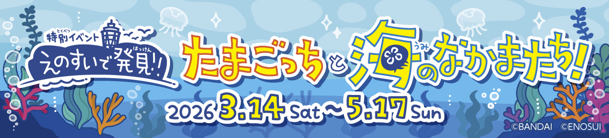 特別イベントえのすいで発見!!たまごっちと海のなかまたち！