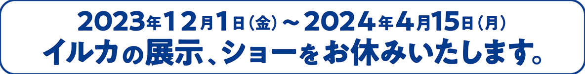 2023年12月1日(金)～2024年4月15日(月) イルカショースタジアム 改修工事のためイルカショーをお休みいたします。