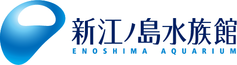新江ノ島水族館