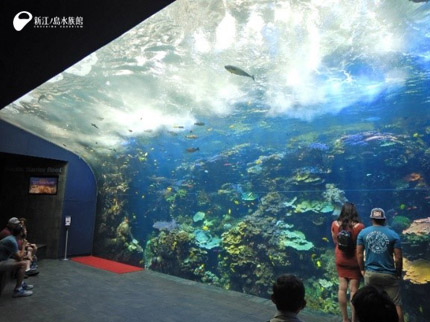 19 12 23 行ってまいりました アトランタ 2 新江ノ島水族館