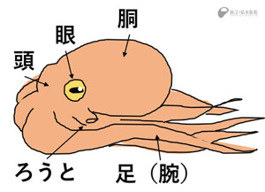 えのすいトリーター日誌 えのすいトリーター日誌