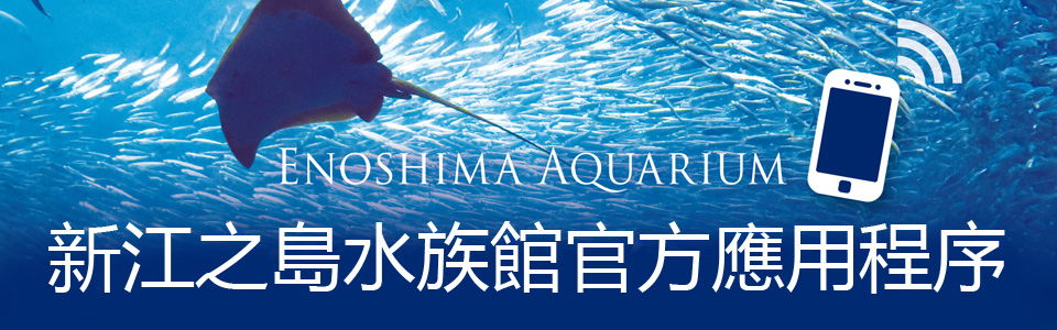 新江之島水族館官方應用程序